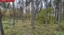 Müüa maa Metsise, Mändjala küla, Saaremaa vald, Saare maakond