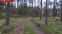 Müüa maa Metsise, Mändjala küla, Saaremaa vald, Saare maakond