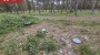 Müüa maa Metsise, Mändjala küla, Saaremaa vald, Saare maakond