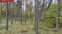 Müüa maa Metsise, Mändjala küla, Saaremaa vald, Saare maakond