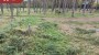 Müüa maa Metsise, Mändjala küla, Saaremaa vald, Saare maakond