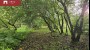 For sale  - land Tallinna maantee 21a, Haapsalu linn, Lääne maakond