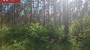 Продаётся земля Kunksmoori, Pulli küla, Saaremaa vald, Saare maakond