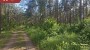 Продаётся земля Kunksmoori, Pulli küla, Saaremaa vald, Saare maakond