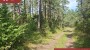 Продаётся земля Kunksmoori, Pulli küla, Saaremaa vald, Saare maakond