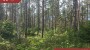 Продаётся земля Kunksmoori, Pulli küla, Saaremaa vald, Saare maakond