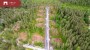 Продаётся земля Ruusamäe tee 2, Laadi küla, Häädemeeste vald, Pärnu maakond