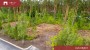 Продаётся земля Ruusamäe tee 1, Laadi küla, Häädemeeste vald, Pärnu maakond