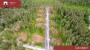 Продаётся земля Siimu tee 31, Laadi küla, Häädemeeste vald, Pärnu maakond