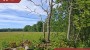 For sale  - land Hiiemetsa, Lehtmetsa küla, Muhu vald, Saare maakond