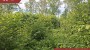 For sale  - land Hiiemetsa, Lehtmetsa küla, Muhu vald, Saare maakond