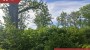 For sale  - land Hiiemetsa, Lehtmetsa küla, Muhu vald, Saare maakond