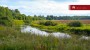 For sale  - land Lepiku, Lohkuse küla, Lüganuse vald, Ida-Viru maakond