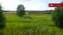 For sale  - land Lepiku, Lohkuse küla, Lüganuse vald, Ida-Viru maakond