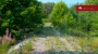 For sale  - land Lepiku, Lohkuse küla, Lüganuse vald, Ida-Viru maakond