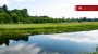 For sale  - land Lepiku, Lohkuse küla, Lüganuse vald, Ida-Viru maakond