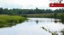 For sale  - land Lepiku, Lohkuse küla, Lüganuse vald, Ida-Viru maakond