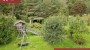 For sale  - house Vaheri, Kaarli küla, Rakvere vald, Lääne-Viru maakond