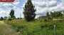 For sale  - land Naftabaasi, Vardja küla, Põlva vald, Põlva maakond