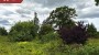 For sale  - land Miiaste küla, Põlva vald, Põlva maakond