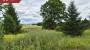 For sale  - land Miiaste küla, Põlva vald, Põlva maakond
