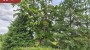 For sale  - land Miiaste küla, Põlva vald, Põlva maakond