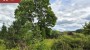 For sale  - land Miiaste küla, Põlva vald, Põlva maakond