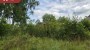 For sale  - land Võlsimäe tee 6, Mammaste küla, Põlva vald, Põlva maakond