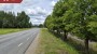 Продаётся земля Tartu maantee 7, Mammaste küla, Põlva vald, Põlva maakond