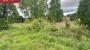 For sale  - land Jaama 15, Veriora, Räpina vald, Põlva maakond