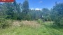 For sale  - land Jaama 15, Veriora, Räpina vald, Põlva maakond