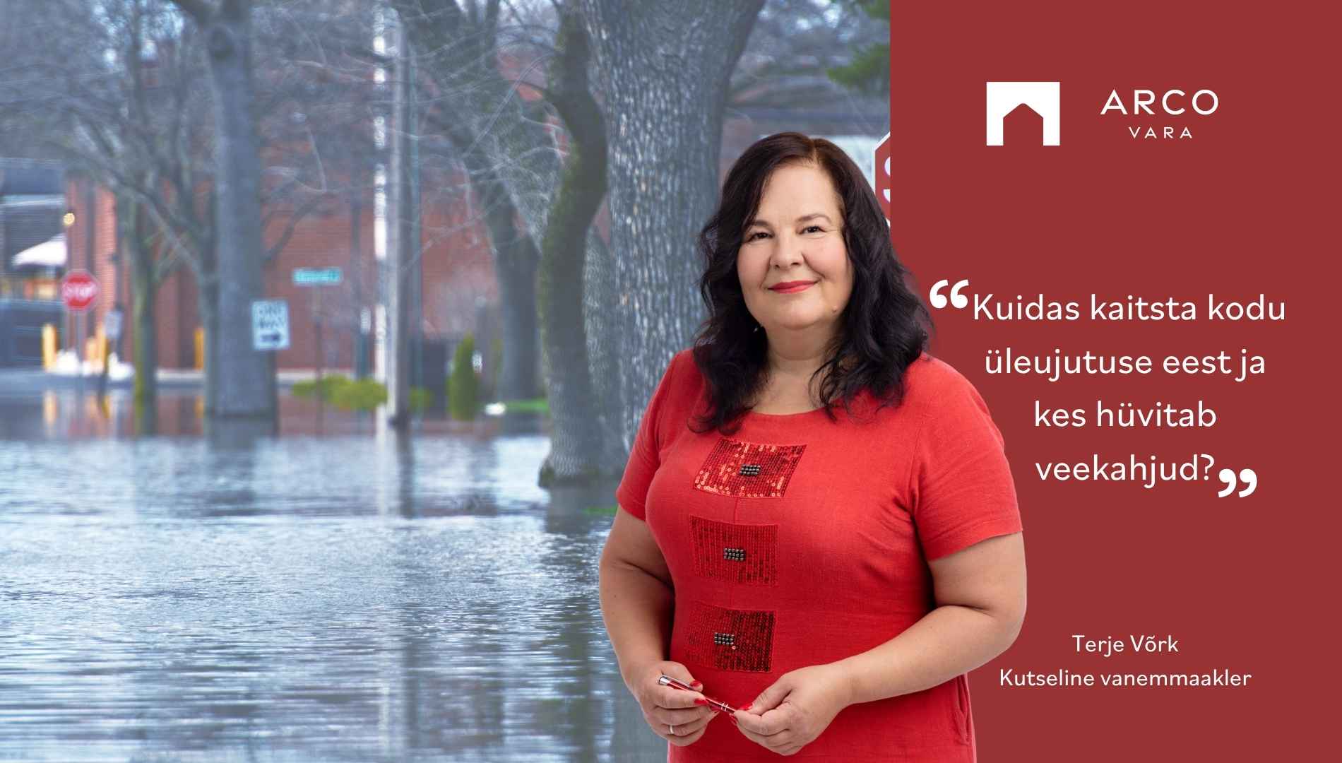 Terje Võrk: Kuidas kaitsta kodu üleujutuse eest ja kes hüvitab veekahjud?